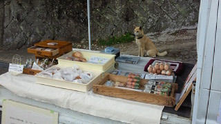 20120226chokubai.jpg